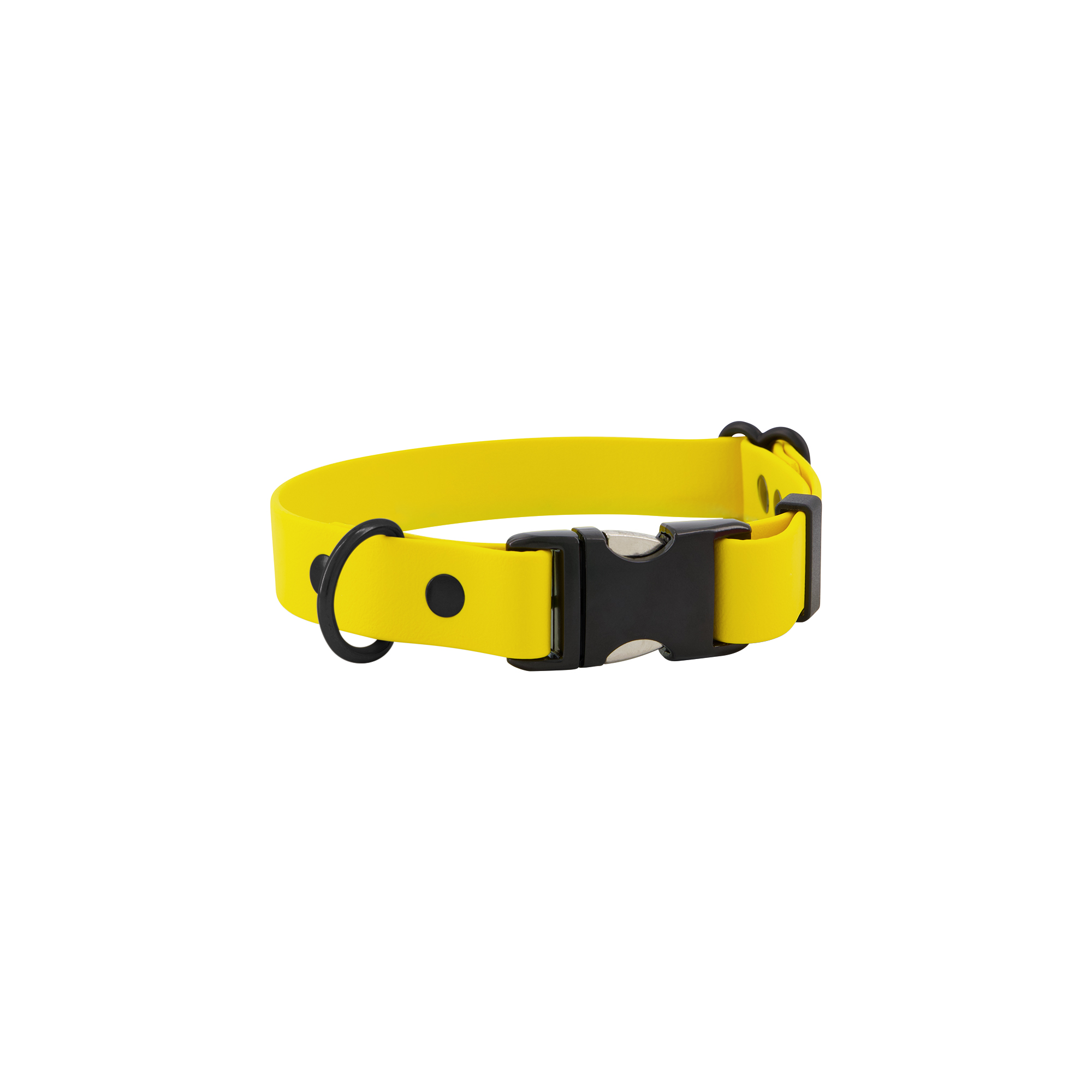 Dog Quick Release Collar Led & Collared NZ